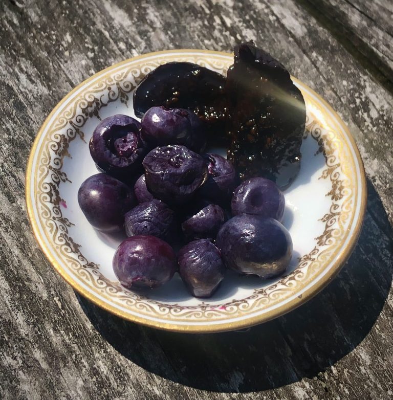 Easy Lacto-Fermented Blueberries