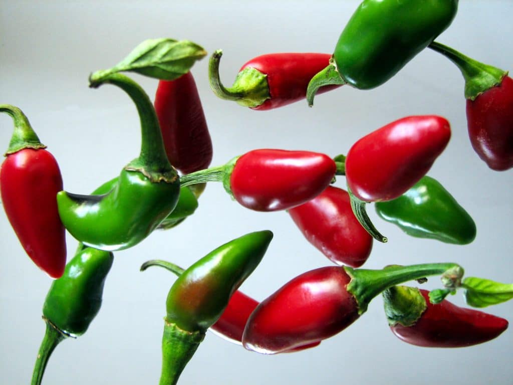 Why Are My Jalapenos Turning Red?