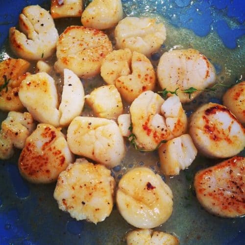 How To Reheat Scallops (Without Turning Them Into Dry Rubbery Balls) Cook Gem