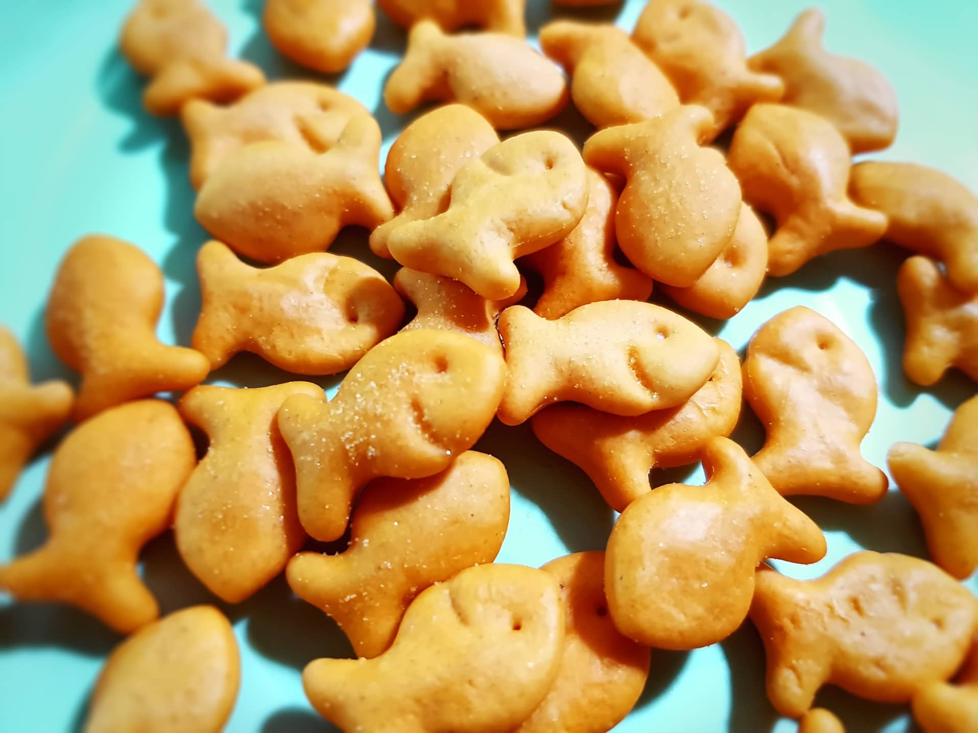Are Goldfish Vegan?