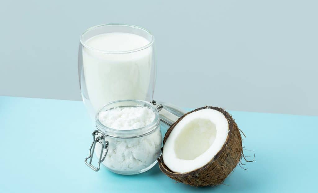 Coconut Cream vs. Coconut Milk What's The Difference?