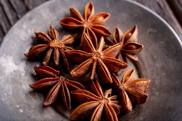 Best Star Anise Substitutes In Your Kitchen