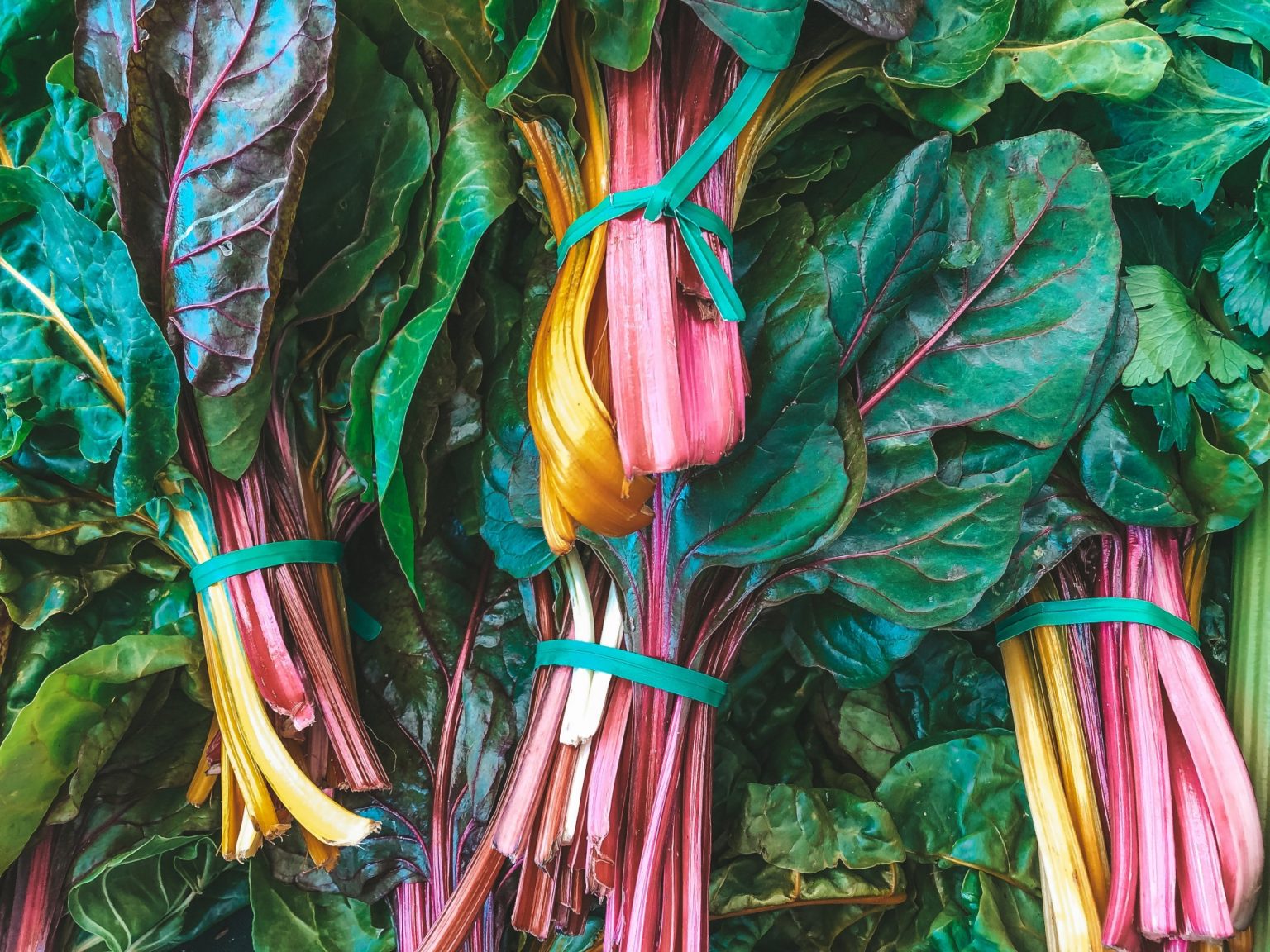 Best Collard Greens Substitutes