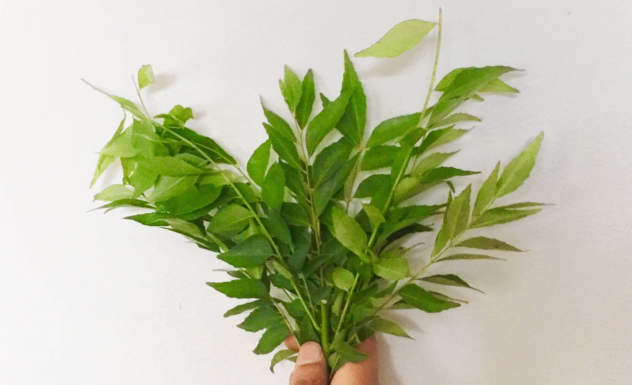 Best Substitutes For Curry Leaves 