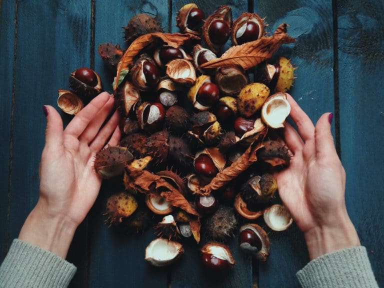 Best Substitutes For Chestnuts