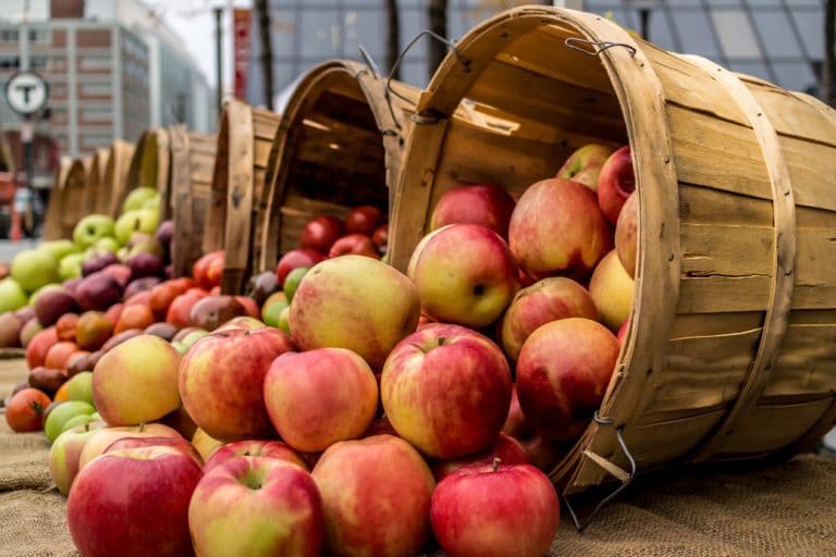 Are Apples Low FODMAP?
