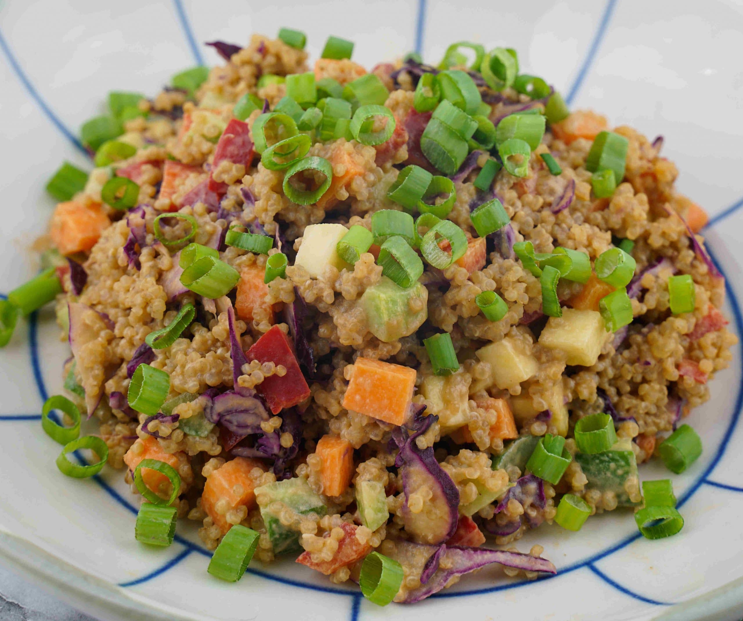 Vegan Rainbow Quinoa Salad (Low FODMAP & Gluten-Free)
