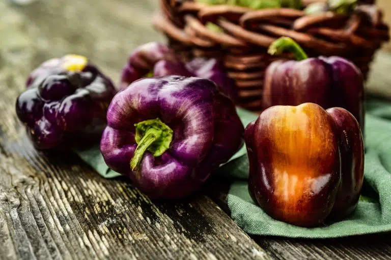 All About Purple Peppers