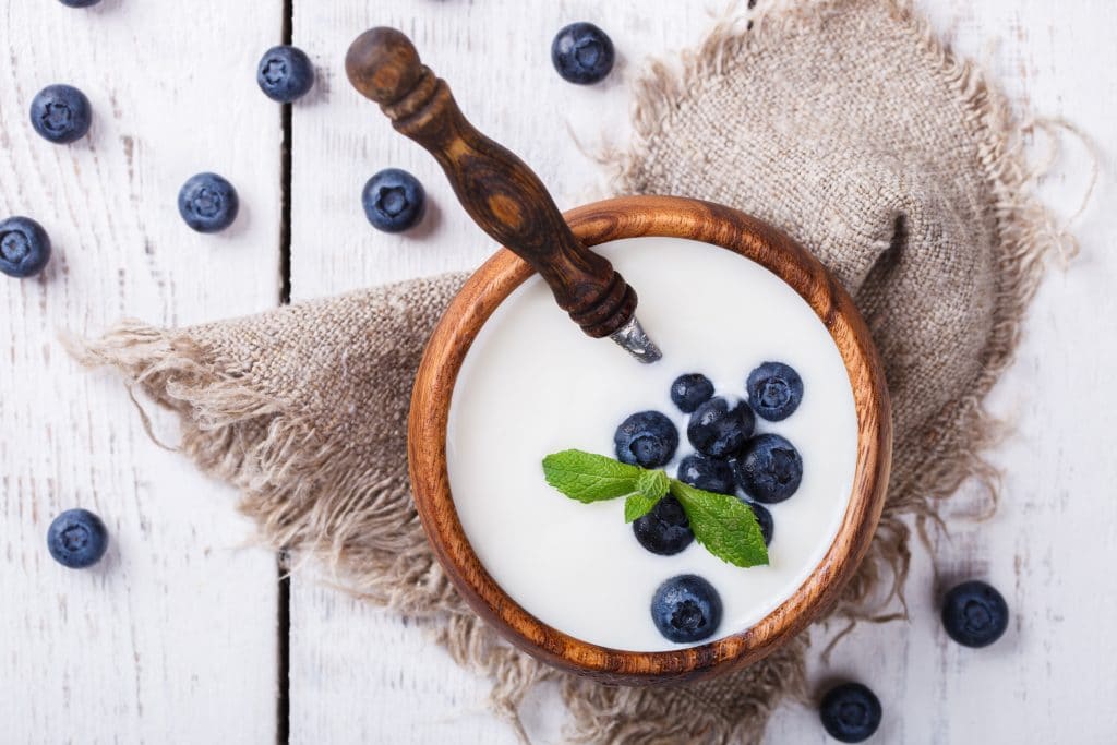 Homemade Yogurt, sour cream bowl of blueberries