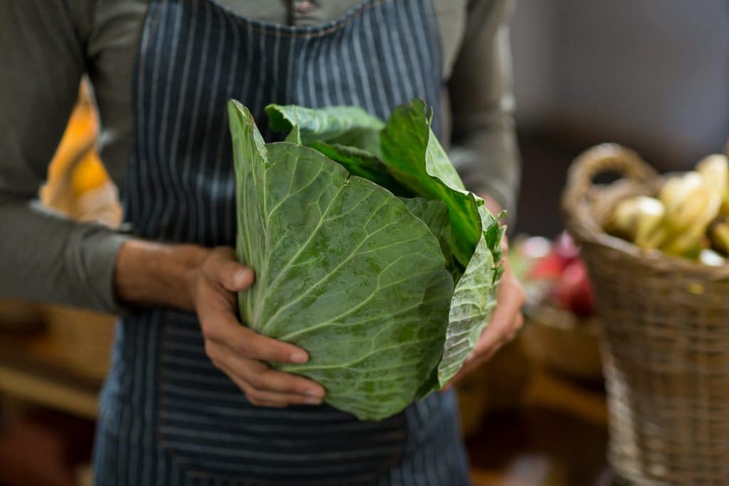 Vendor holding cabbage