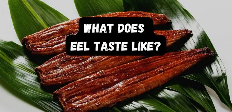 What Does Eel Taste Like?