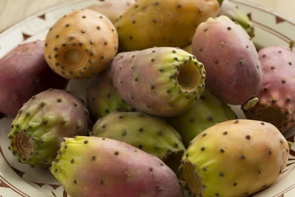 Bowl with fresh ripe colorful prickly cactus fruit