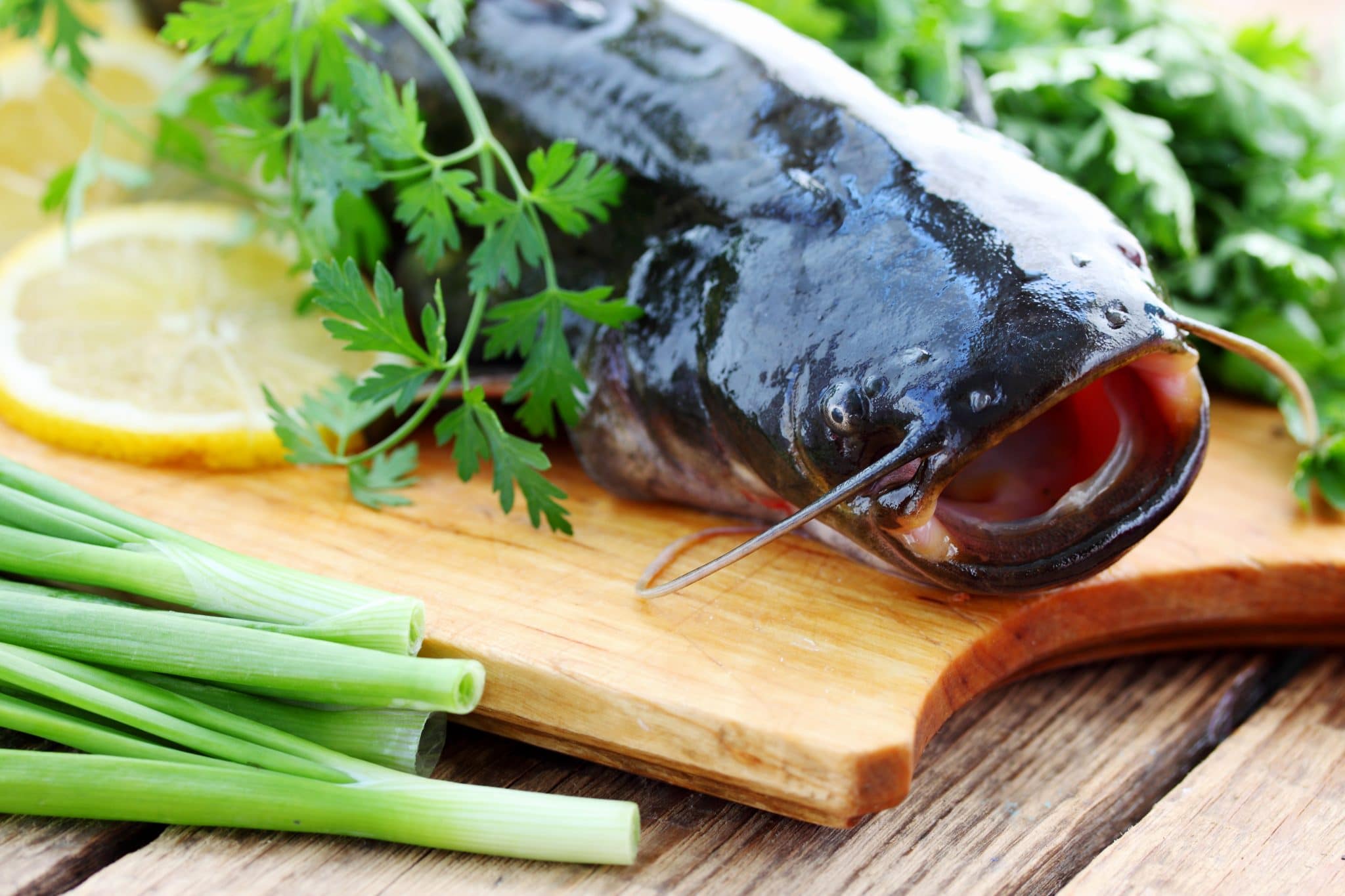 What Does Catfish Taste Like?