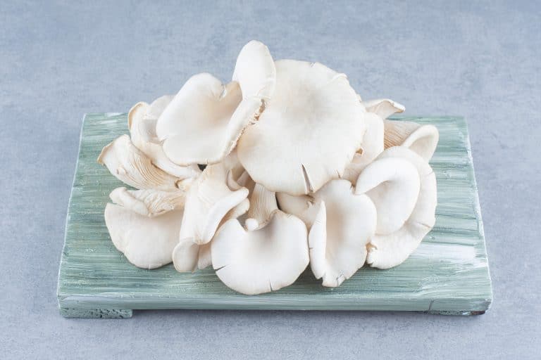 Are Mushrooms Low FODMAP?