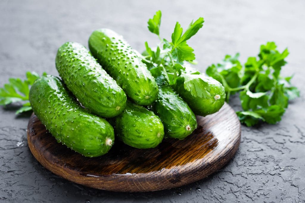 Cucumbers. Fresh cucumbers on wooden board