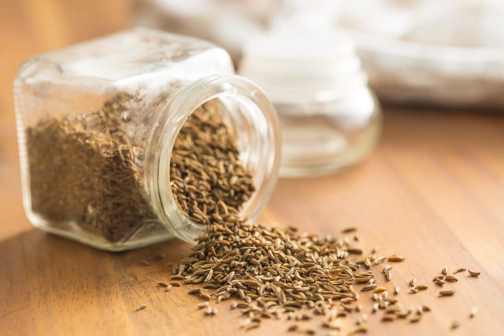 Cumin seeds or caraway in jar.