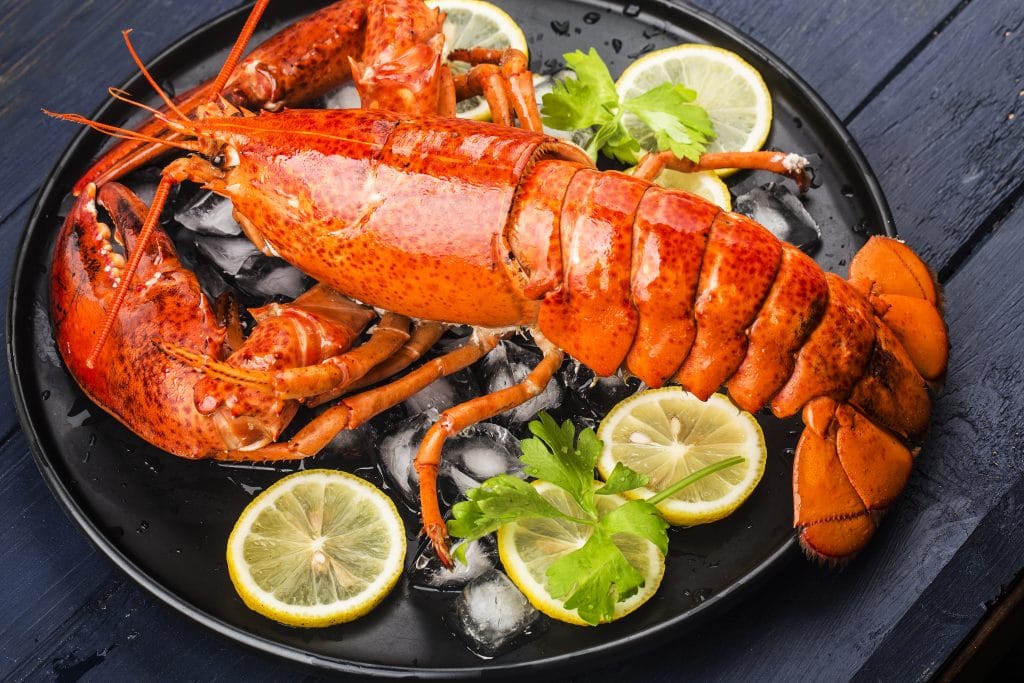 Seafood feast，Lemon and fresh Boston lobster on the ice