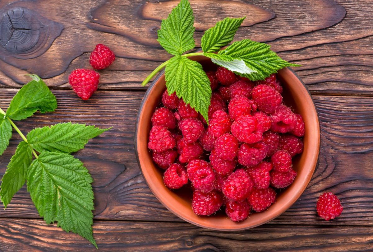Are Raspberries Low FODMAP?