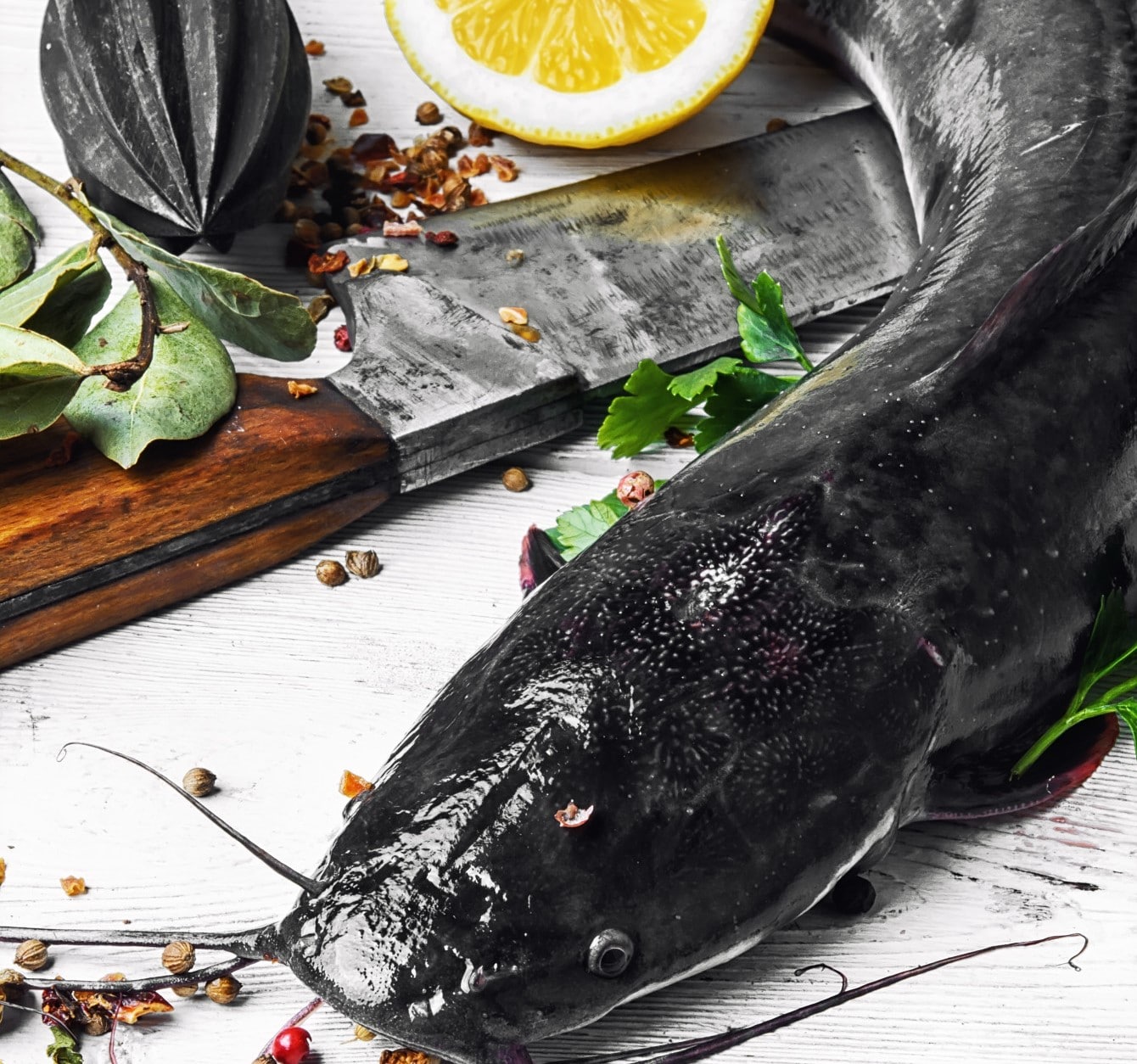 What Does Catfish Taste Like?