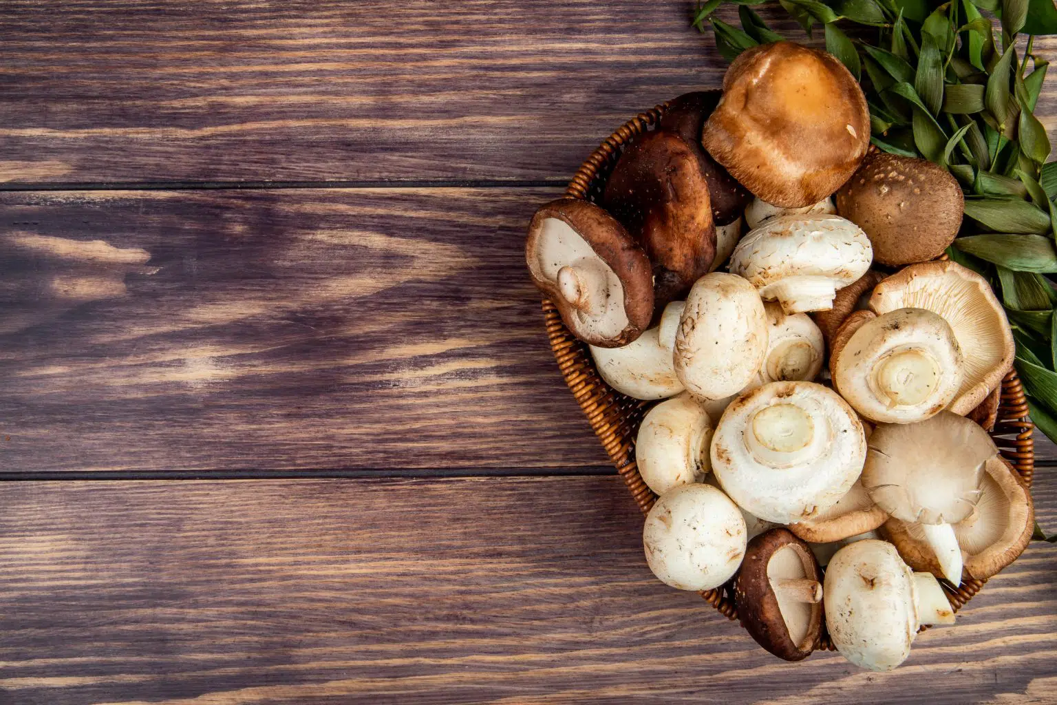 Are Mushrooms Low FODMAP?