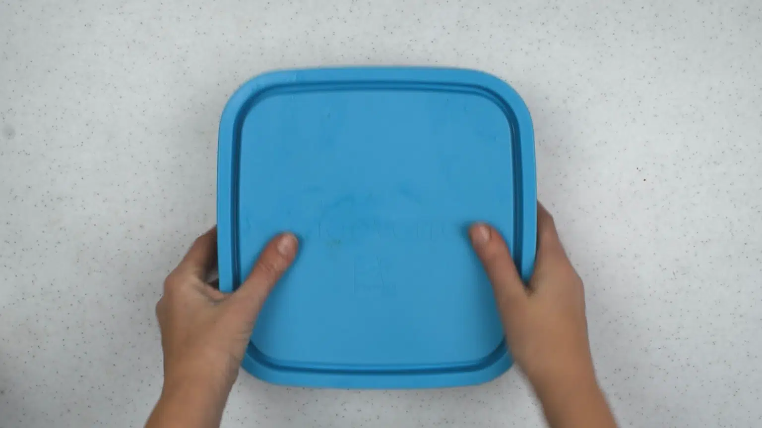 Easy Low FODMAP Beef Jerky