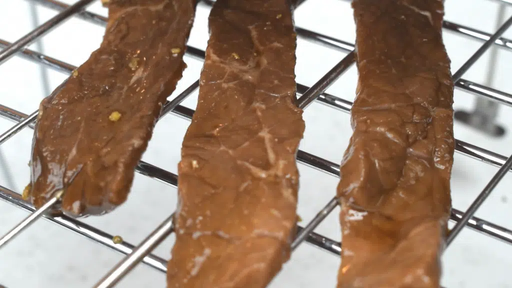 Easy Low FODMAP Beef Jerky