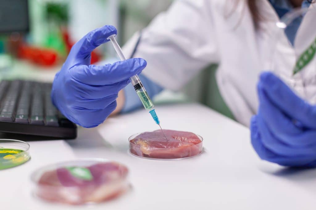 African chemist injecting at lab-grown vegan meat sample for microbiology expertise. Scientist woman working on plant-blased beef substitute in biochemistry lab researching modified genetically food.