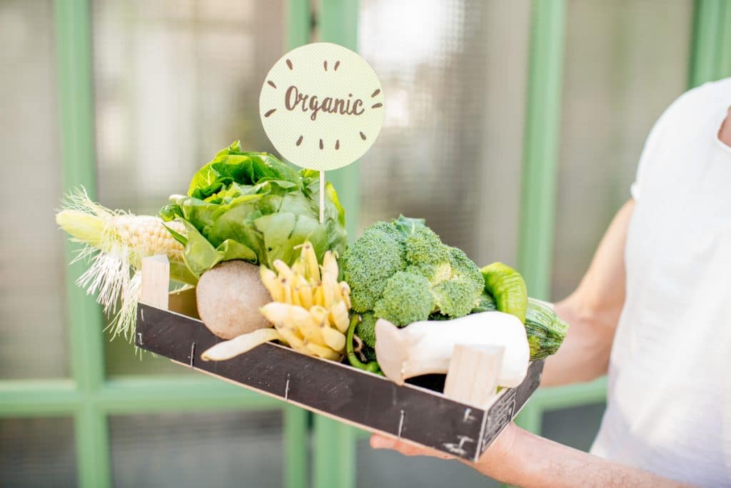 Holding box with fresh organic vegetables on the green background