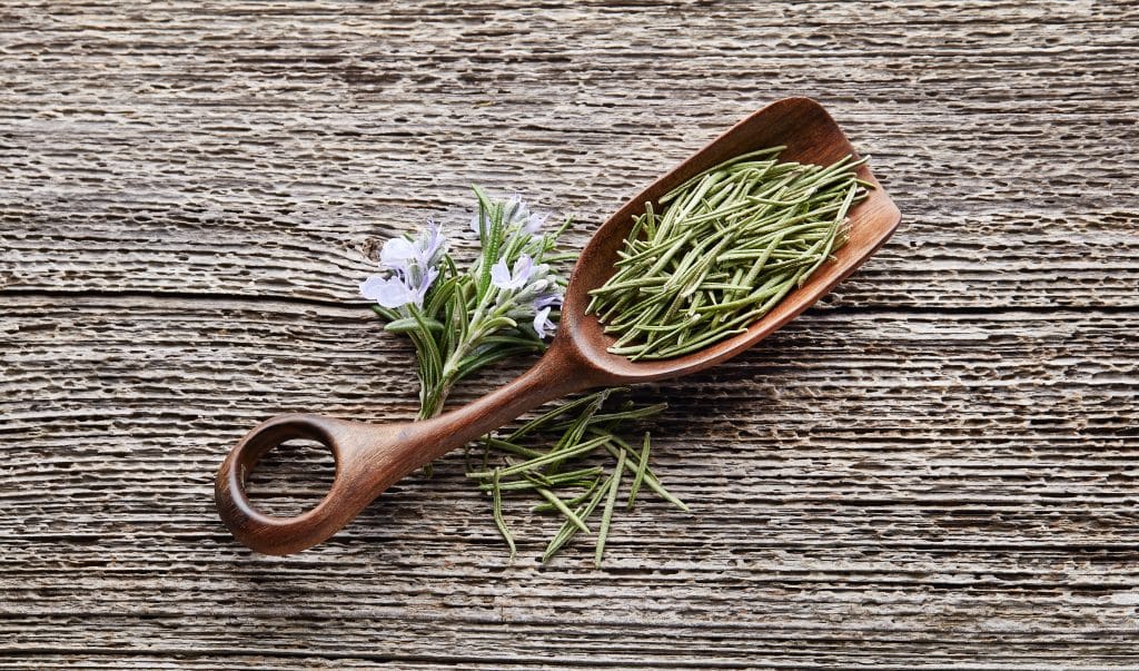 Dried rosemary leaves and bloom rosemary on wooden background