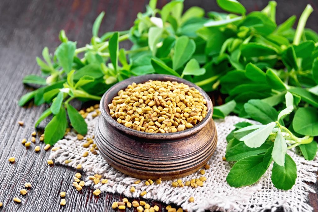 Fenugreek seeds in a bowl on a burlap napkin with green leaves on dark wooden board background