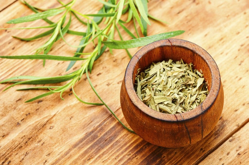 Raw and dry tarragon spice.Tarragon or Artemisia dracunculus on wooden table