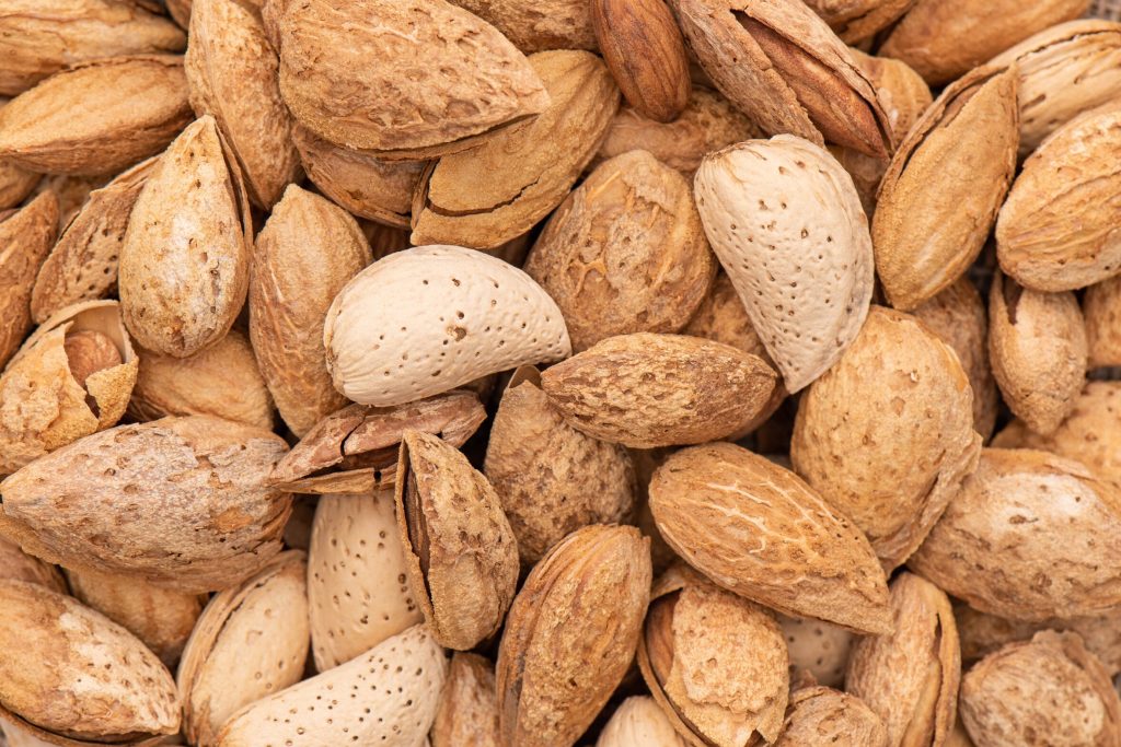 Heap of almonds in a nutshell macro shot. Organic superfood background. Background of unpeeled almonds in the shell. Full frame of the scattered nuts. Texture of the food. Harvest.