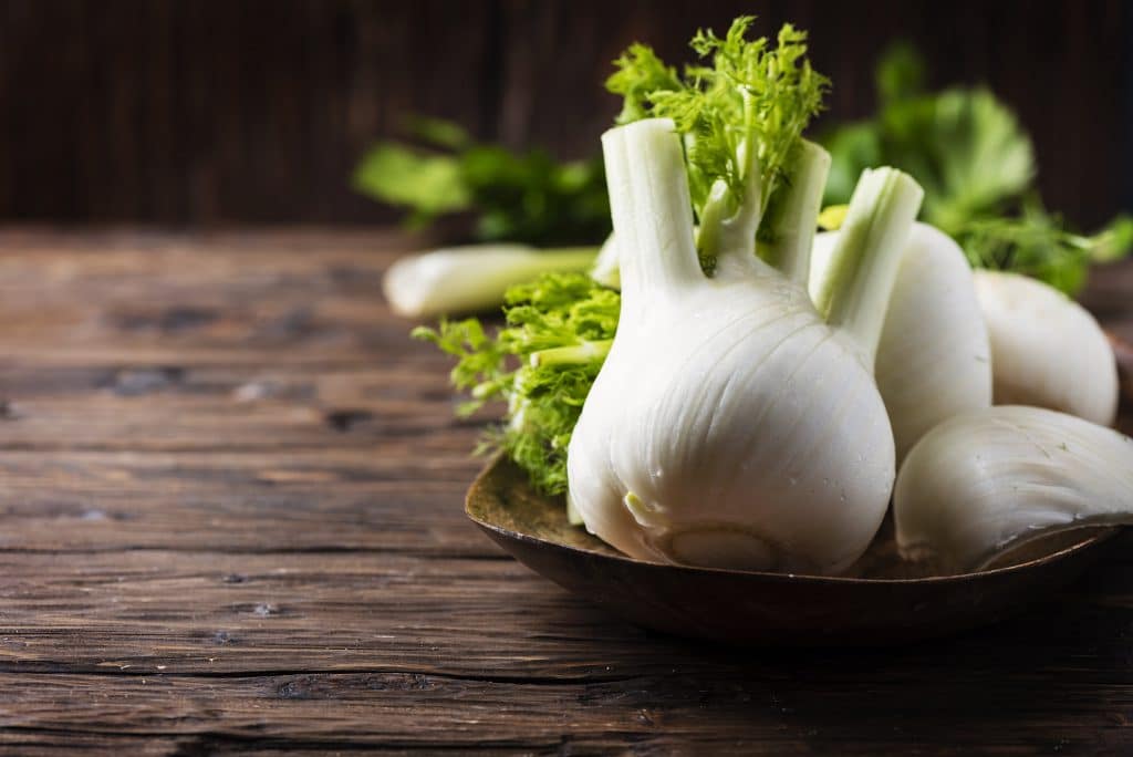 Raw fresh fennel on the rustic wooden table, selective focus