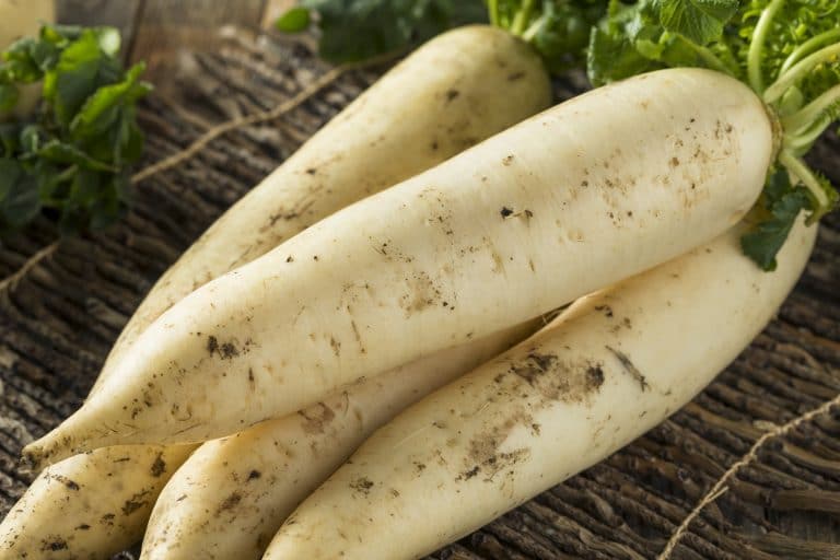 Best Substitutes For Daikon