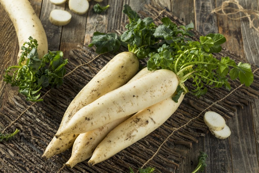 Raw Organic White Daikon with Green Leaves