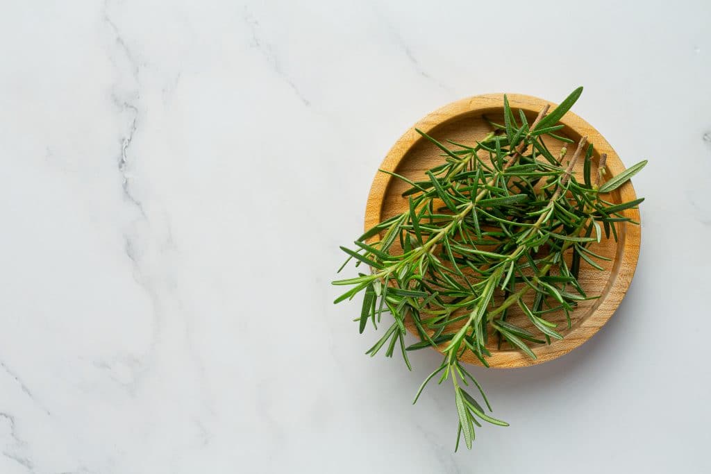 Rosemary plants place on white marble floor