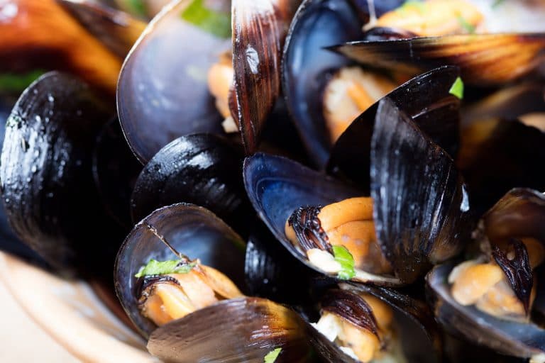 How To Tell If Mussels Are Bad?