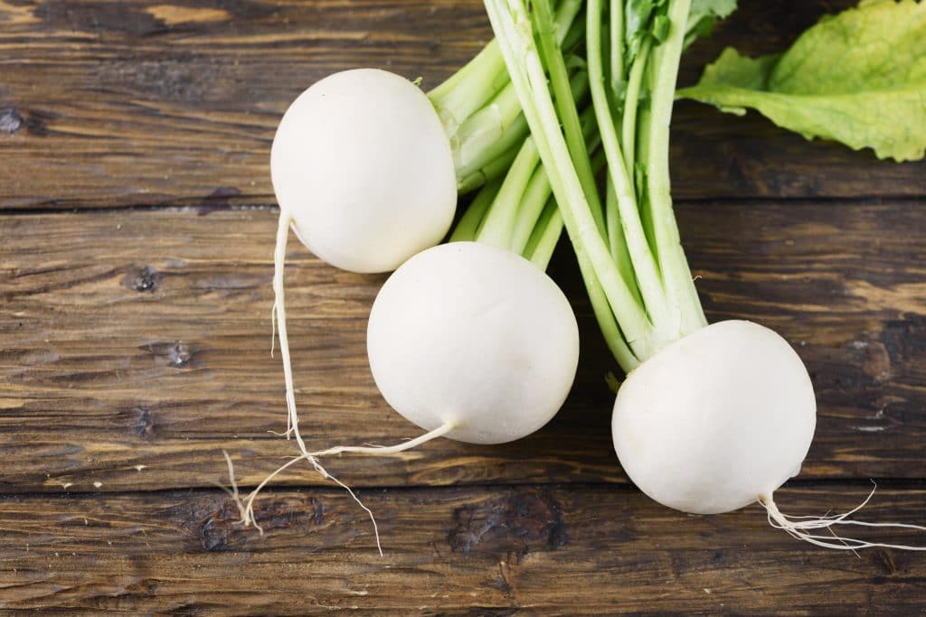 White fresh turnip on the wooden table, selective focus and copyspace