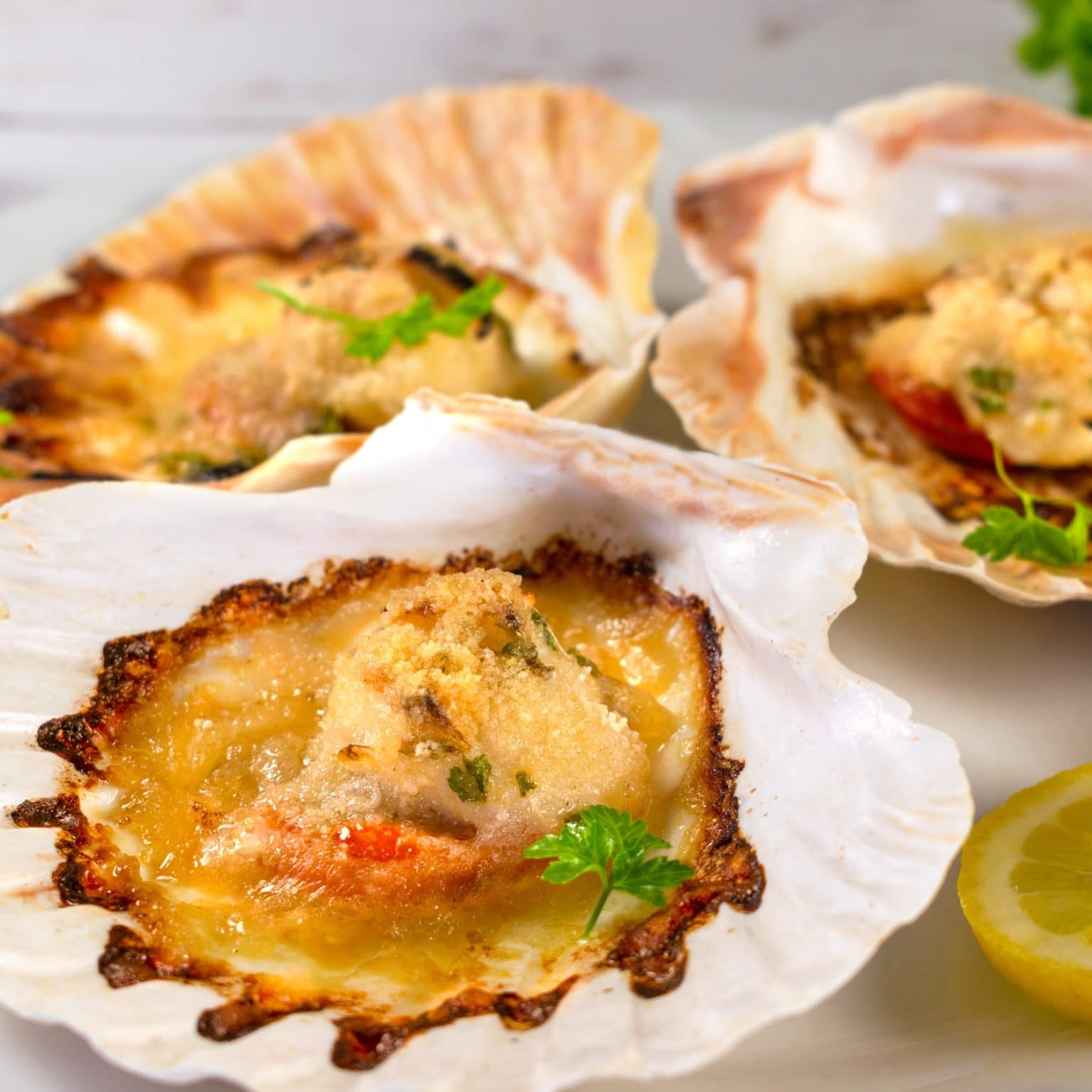 Easy Capesante Graten (Scallops in the Shell)