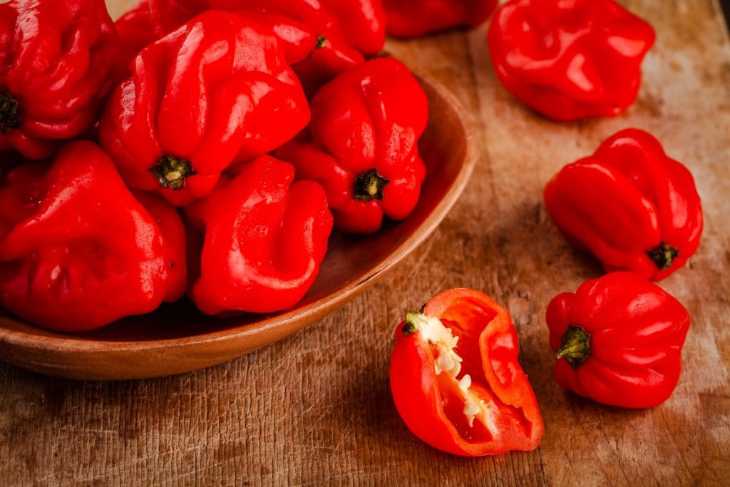 fresh red hot habanero chili peppers  on wooden background