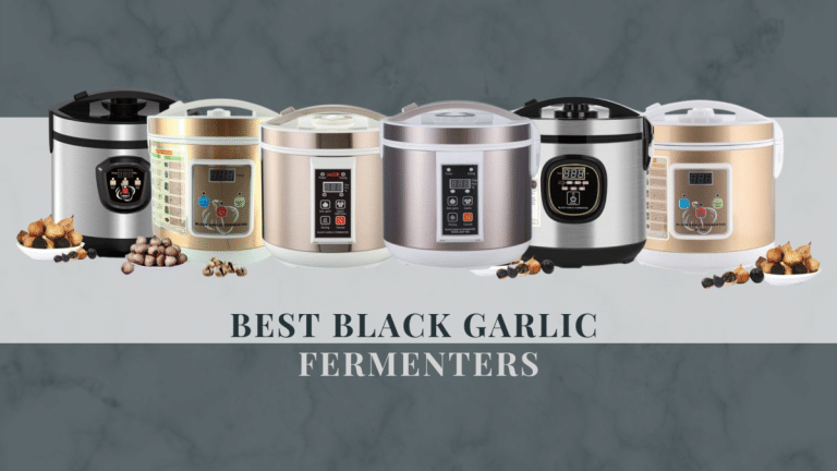 Best Black Garlic Fermenters