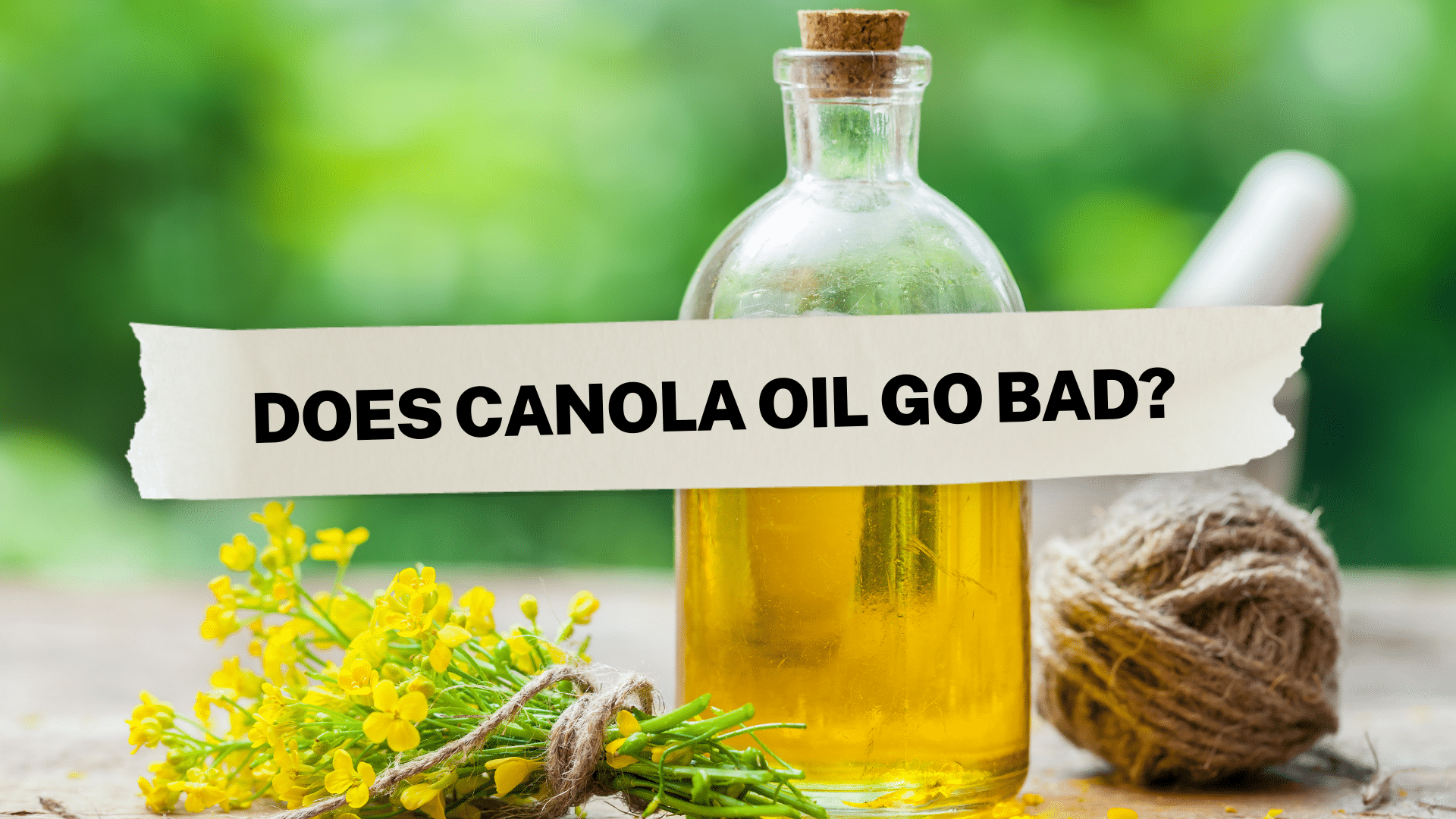 Does Canola Oil Go Bad?