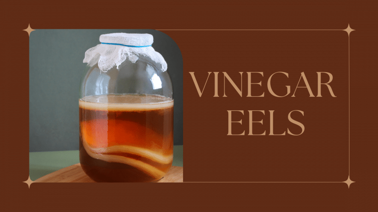 What Are Vinegar Eels?