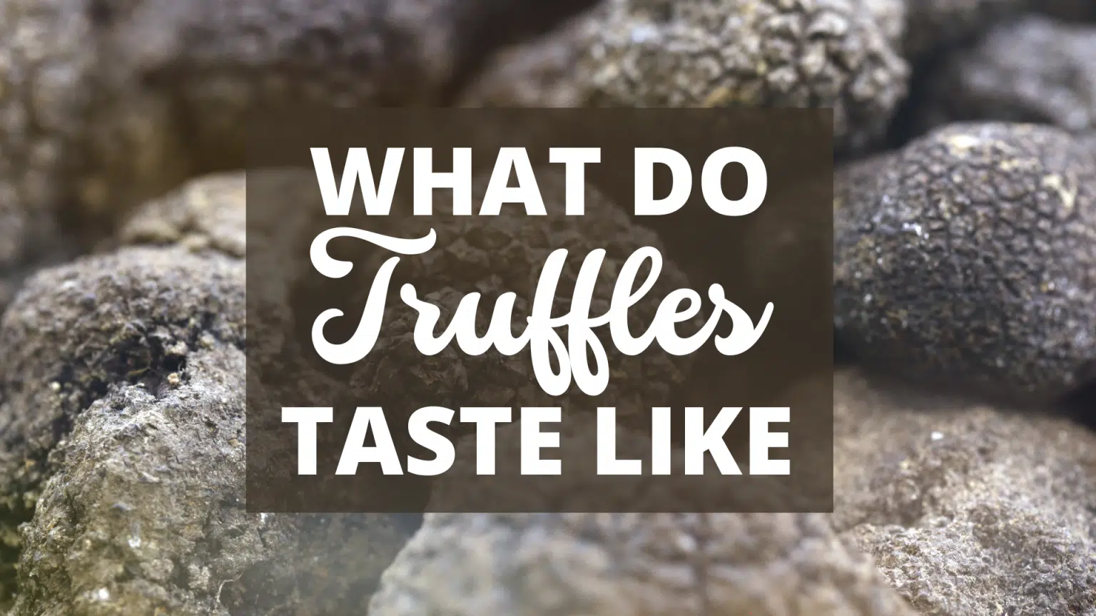 White vs. Black Truffle Oil What’s the Difference?