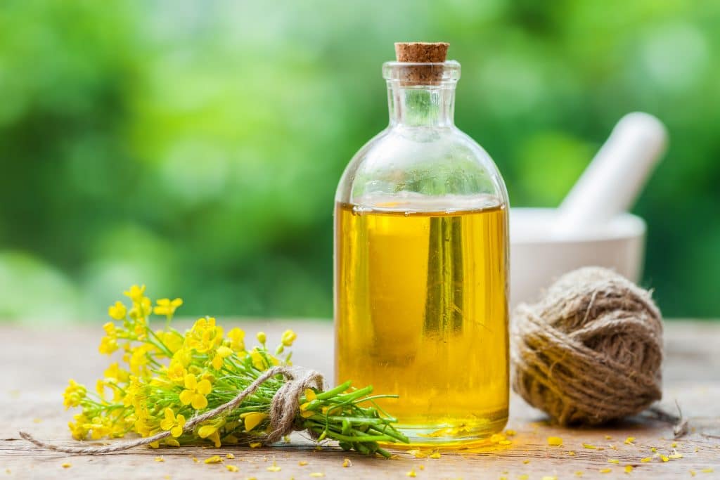 Bottle of rapeseed oil (canola) and repe flowers on table outdoors