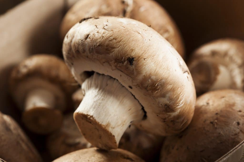 Organic Brown Baby Bella Mushrooms against a background