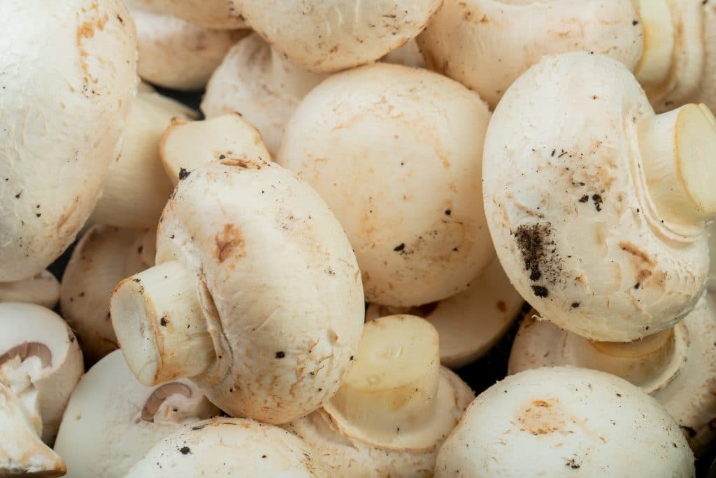 side view of fresh white mushrooms pattern of white mushrooms