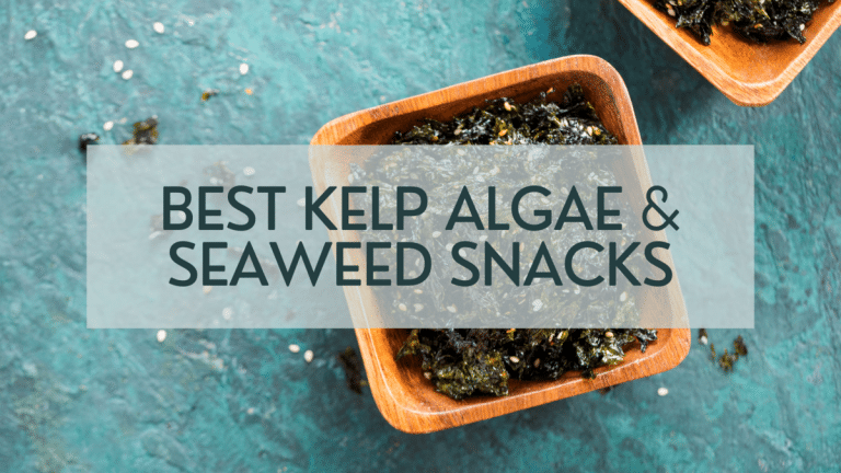 Best Kelp Algae & Seaweed Snacks