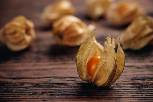 Close up of Cape gooseberry or Physalis on vintage wooden surface