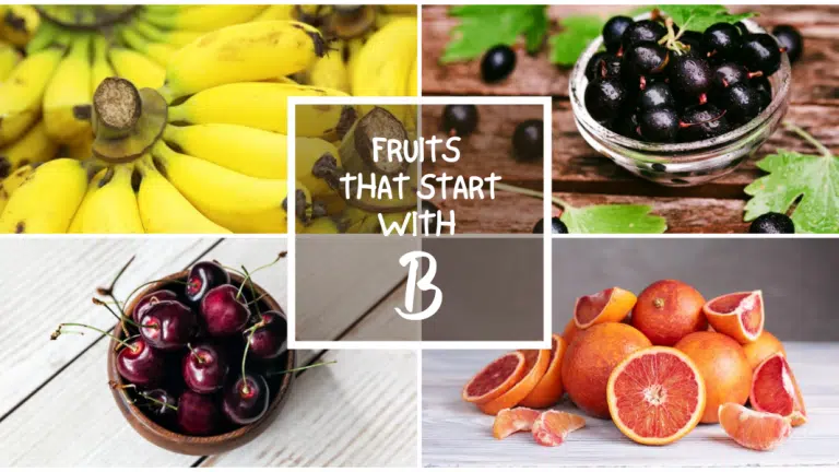 All The Fruits That Start With B